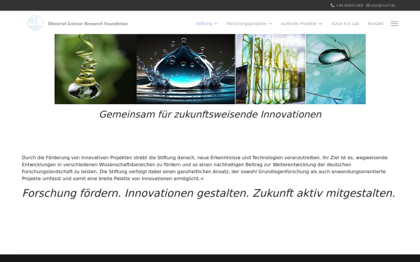 msrf.de