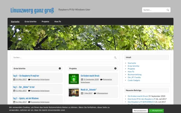 alt-server.de