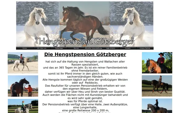 hengstpension.de