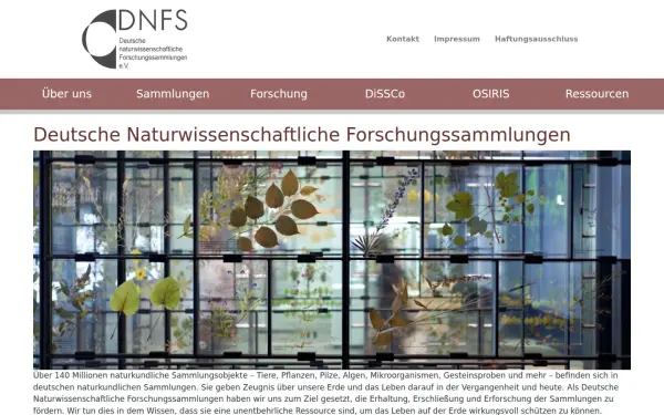 dnfs.de