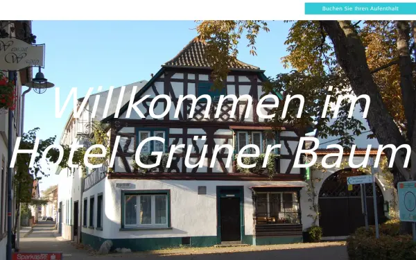 gruener-baum-bretzenheim.de