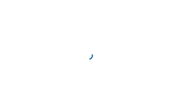 www.alpha-search.de