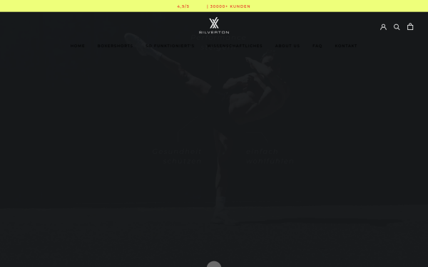 silvertontech.com