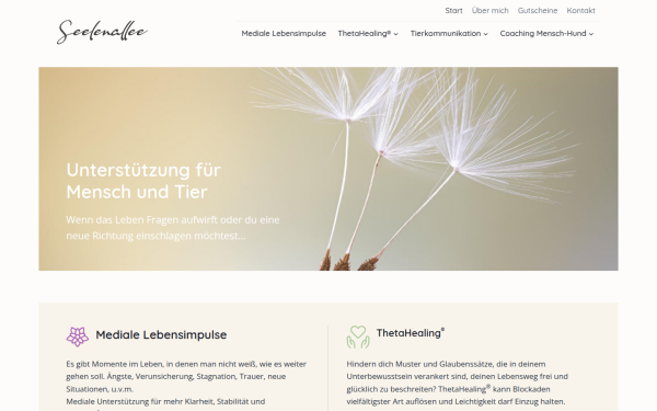 www.seelenallee.de