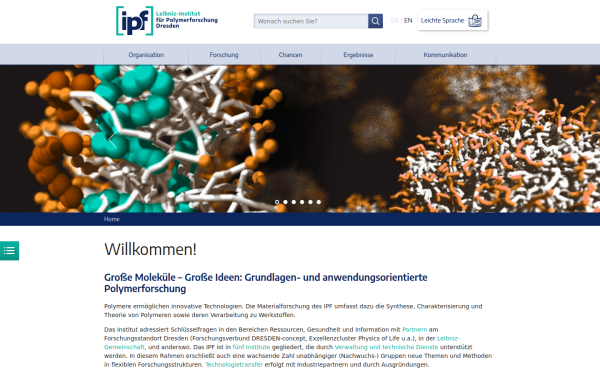 www.ipfdd.de