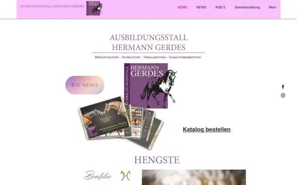 www.ausbildungsstall-gerdes.de