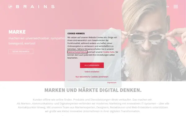 www.brains-world.de