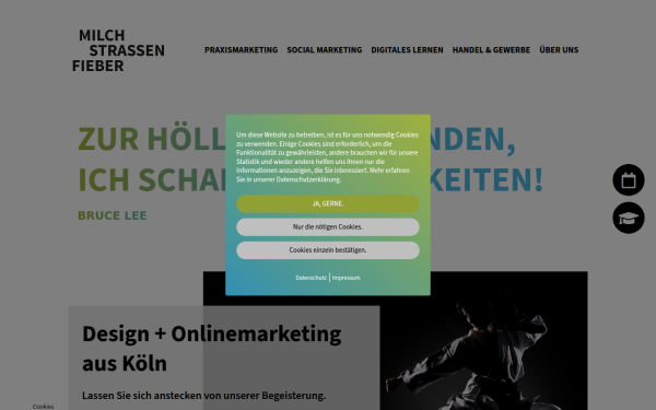 www.milchstrassenfieber.de