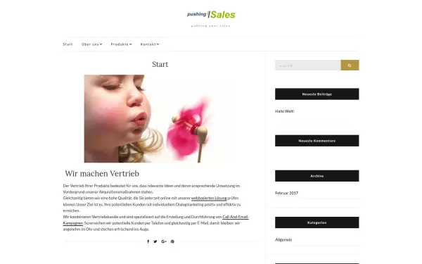 pushingsales.de