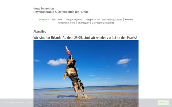 www.dogsinmotion-bruehl.de