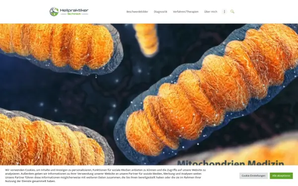 heilpraktiker-schmidt.de