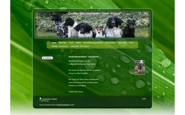 www.gmvomsuelztal.de