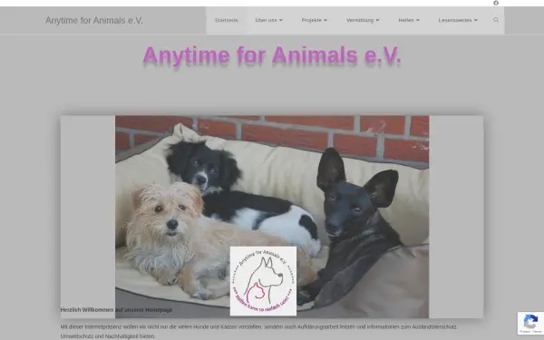 anytime-for-animals.de