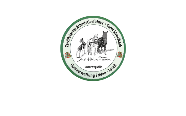 das-halbe-team.at