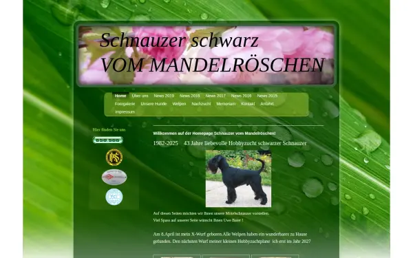 www.mandelroeschen.de