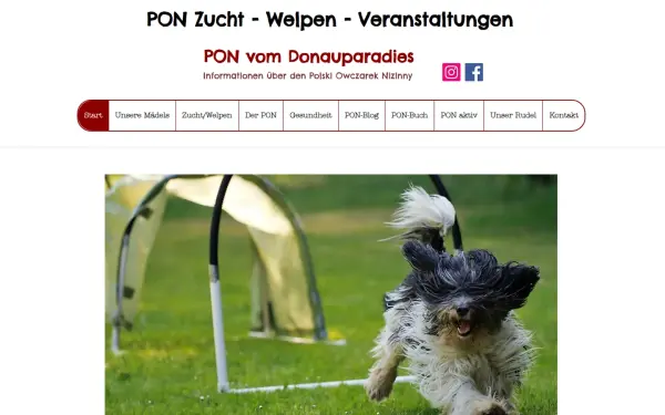 www.pon-vom-donauparadies.de