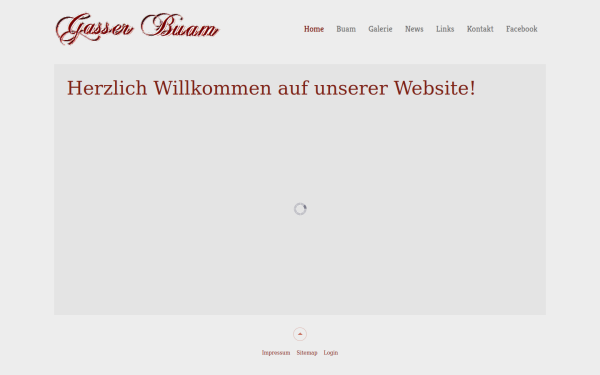 gasser-buam.at