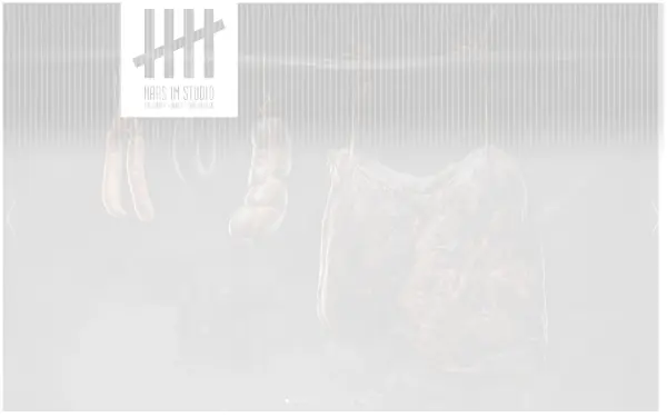 haasimstudio.de