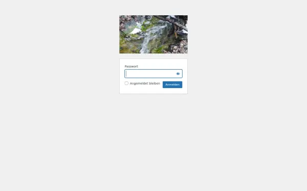 www.digitalrausch.de