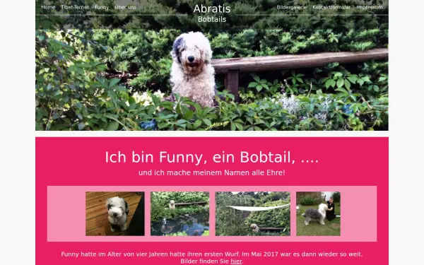 abratis-bobtails.de