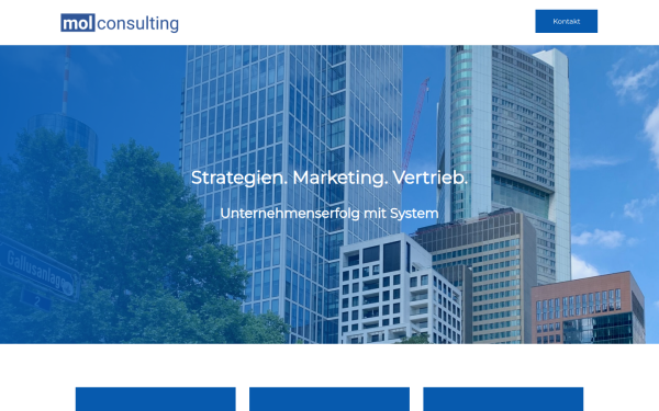 mol-consulting.de