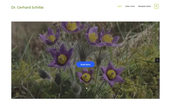 dr-schillai.de