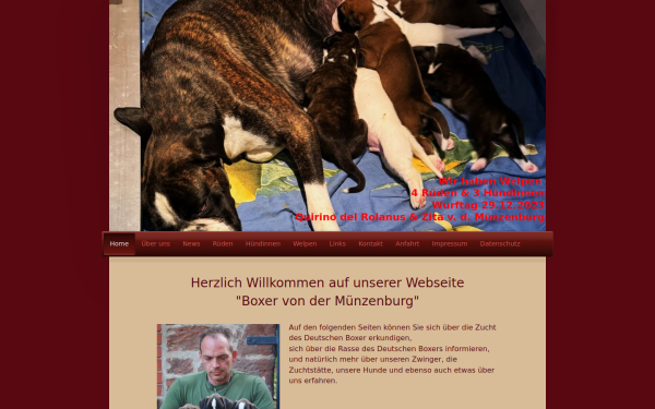 www.muenzenburg-boxer.de