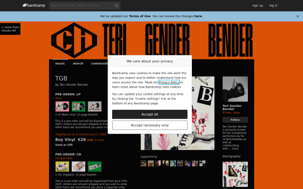 terigenderbender.bandcamp.com