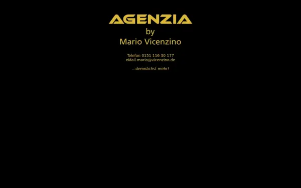 www.vicenzino.de