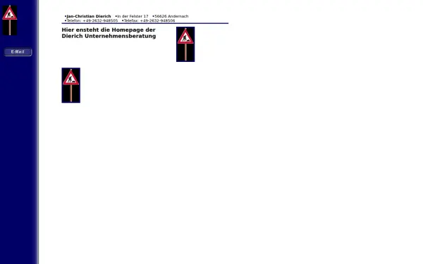 dierich-consulting.de