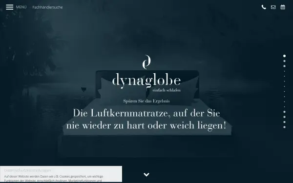 dynaglobe.de