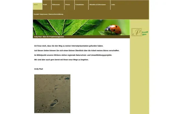 ap-projektmanagement.de