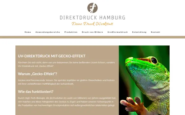www.direktdruck-hamburg.de
