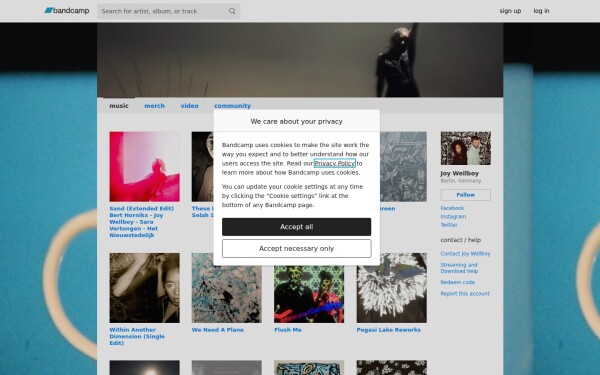 joywellboy1.bandcamp.com