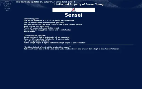 masteryoung.de