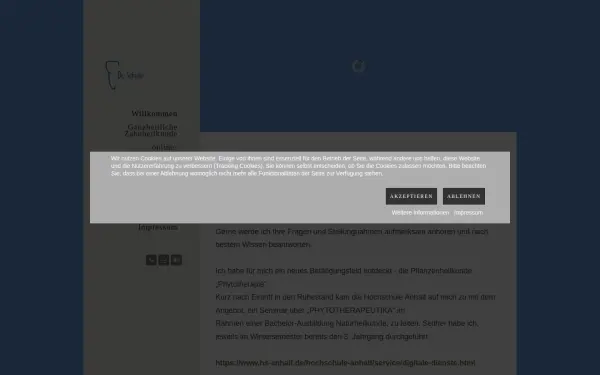 dr-schule.de