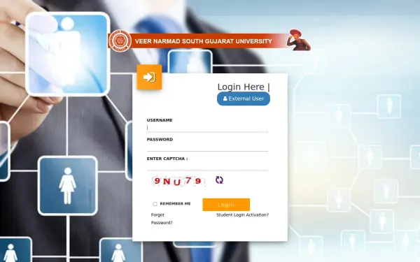 vnsgu.net