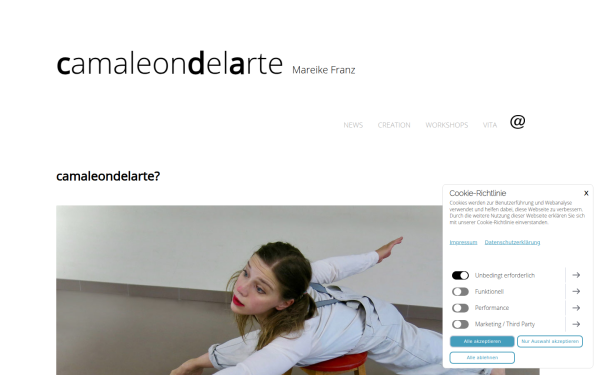 www.camaleondelarte.com