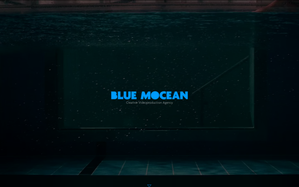 www.bluemocean.agency