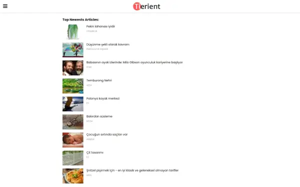tierient.com