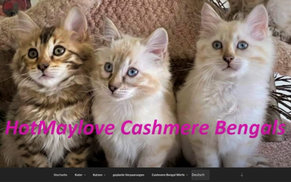 hotmaylove-cashmere-cats.de