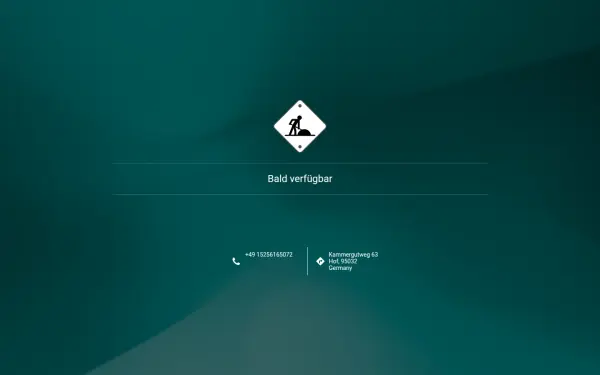 www.delfisystems.de