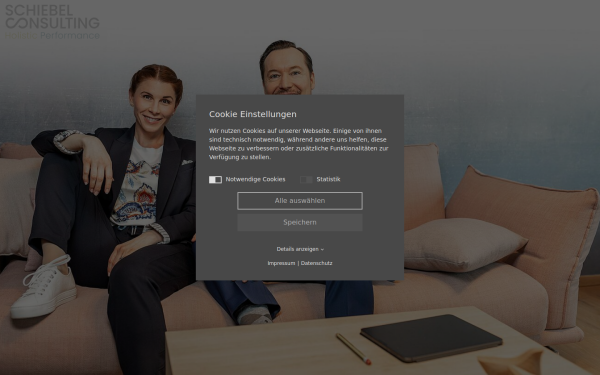 www.schiebel-consulting.de