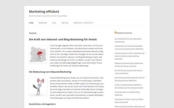 marketing-effizient.de