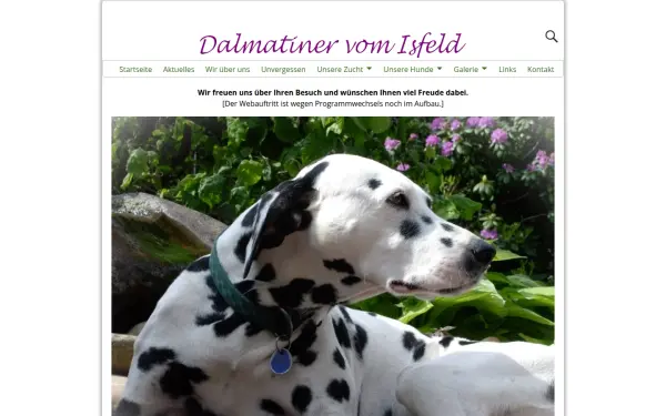 dalmatiner-vom-isfeld.de