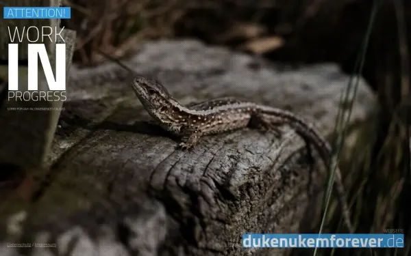 dukenukemforever.de