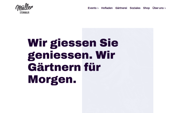 www.mueller-steinmaur.ch