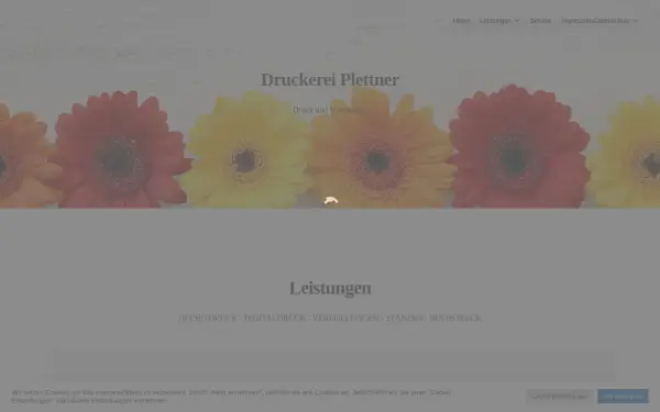 druckerei-plettner.de
