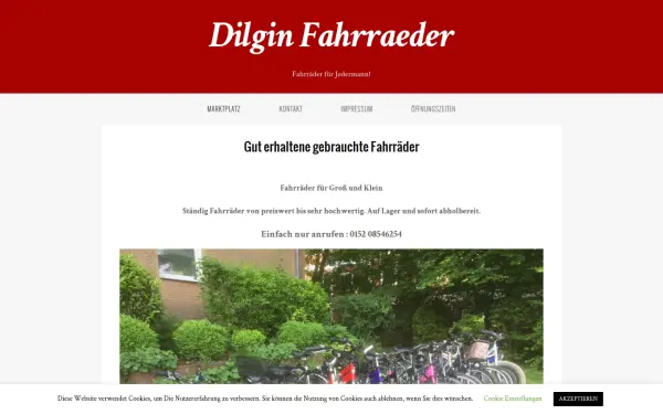 dilgin-fahrraeder.de