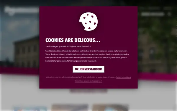 lhg-erlangen-nuernberg.de